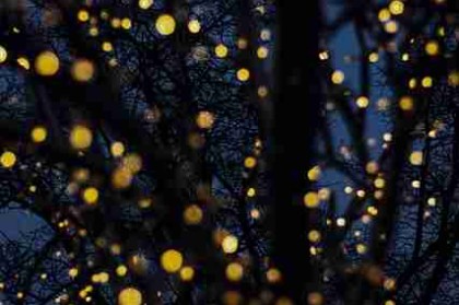 51网在线观看转存：离线缓存速度对比