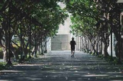 黑料追踪！每日大赛51实测报告终极剖析