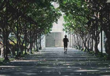 黑料追踪！每日大赛51实测报告终极剖析